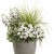 Niecierpek Sunpatiens Vigorous Clear White
