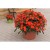 NIECIERPEK Orange Red p9