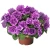 Surfinia Petunia Fun House DoubleViolet Vein P9