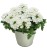 WERBENA Drums White p9