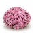 chryzantema Jasoda PINK DARK