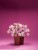 Supertunia VISTA Bubblegum p9
