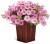 Supertunia VISTA Bubblegum p9