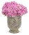 Supertunia VISTA Bubblegum p9