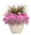 Supertunia VISTA Bubblegum p9