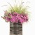 Supertunia MINI VISTA Hot Pink p9